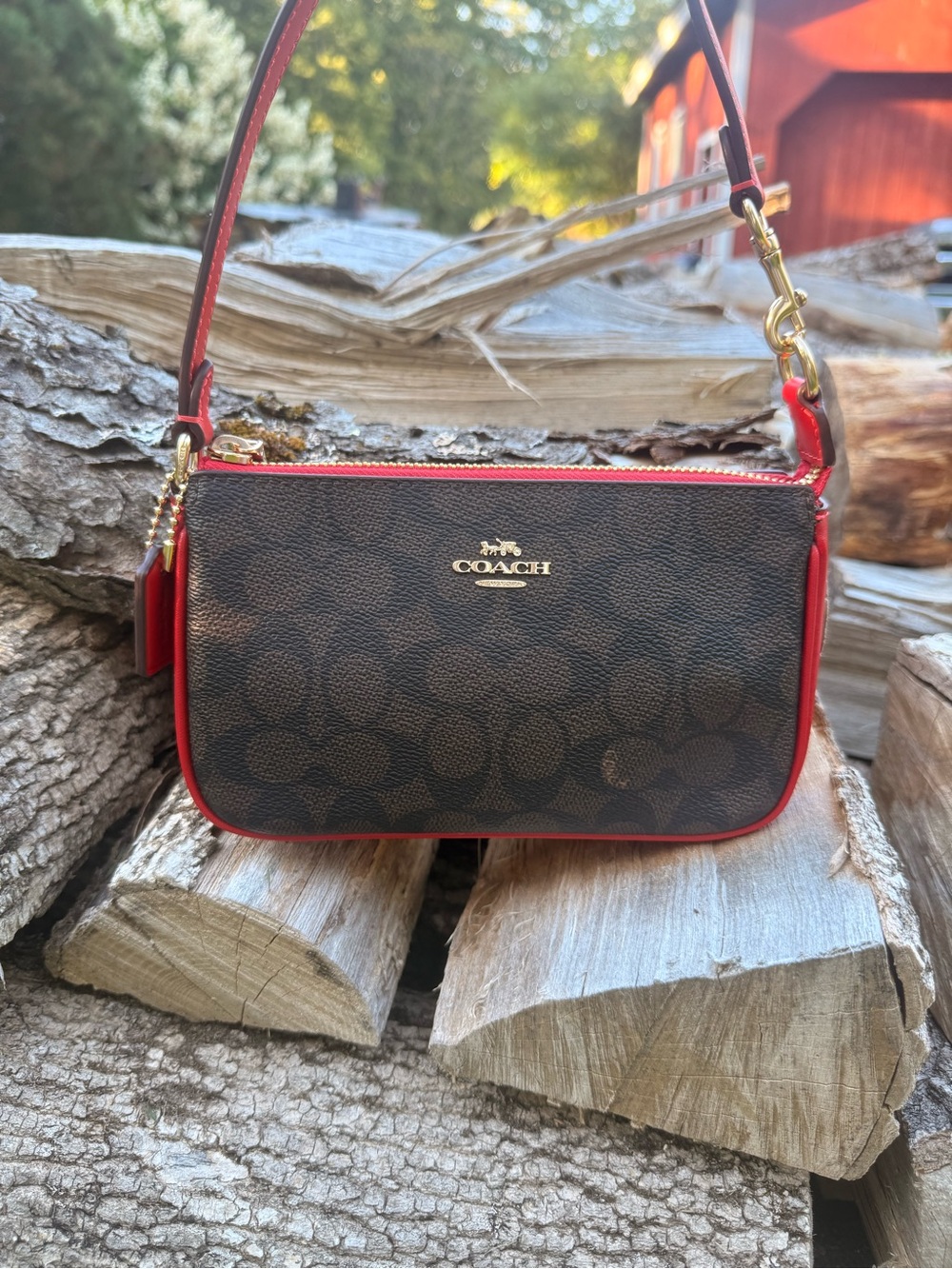 Coach Nolita 19 Bag